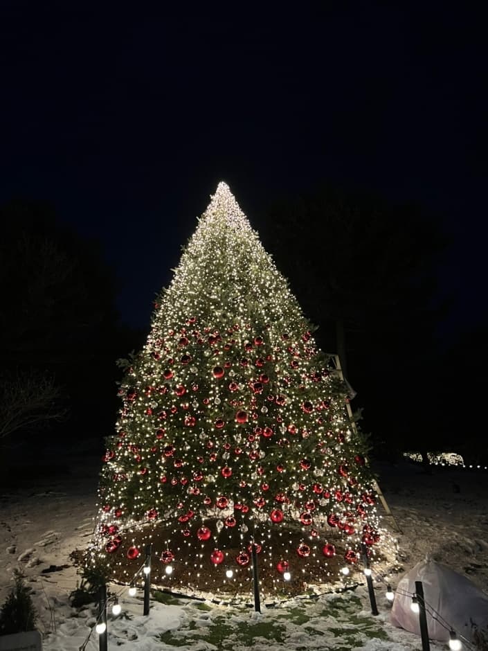 [서울 근교 여행지]산들소리 수목원 &amp; 낭만등불축제 후기