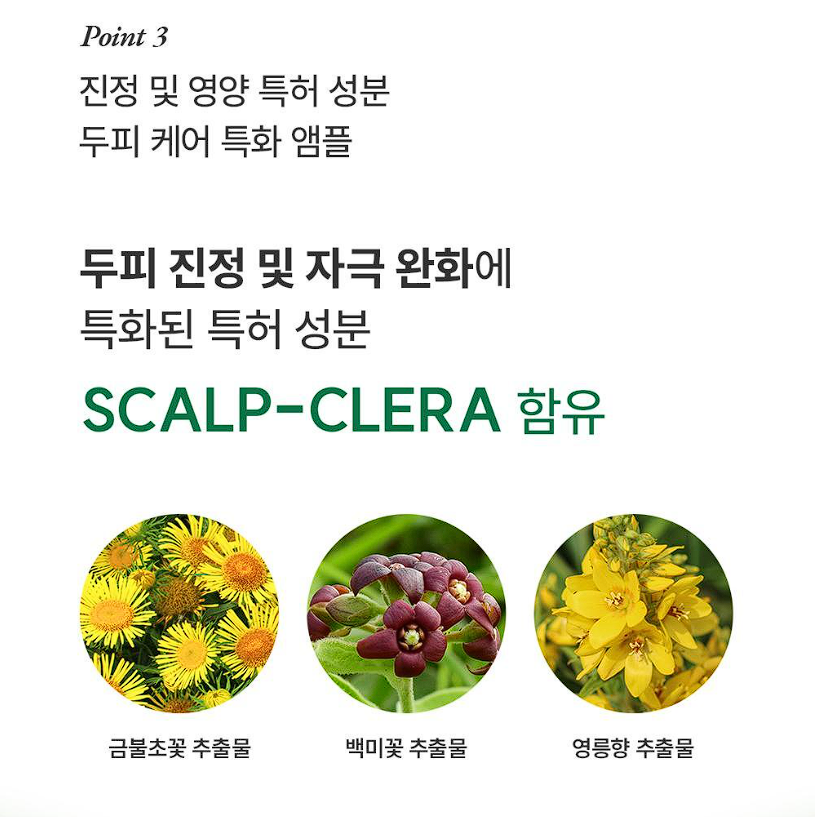 그로우턴 앰플 내돈내산 후기