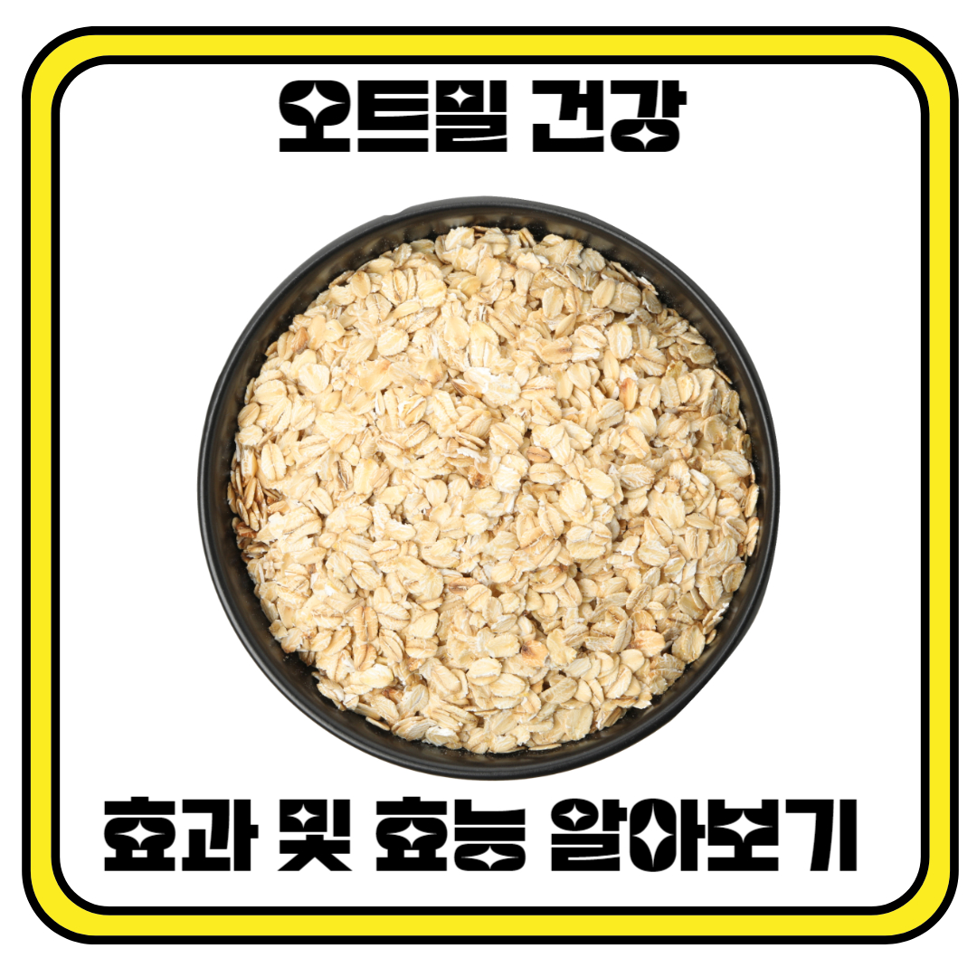 오트밀 효과 및 효능 알아보기