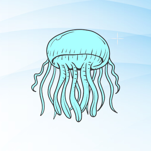 해파리 쏘임 3