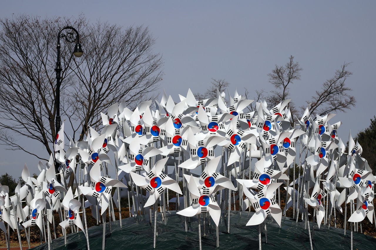 광복절 80주년 관련 사진
