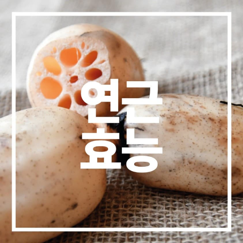 연근 효능