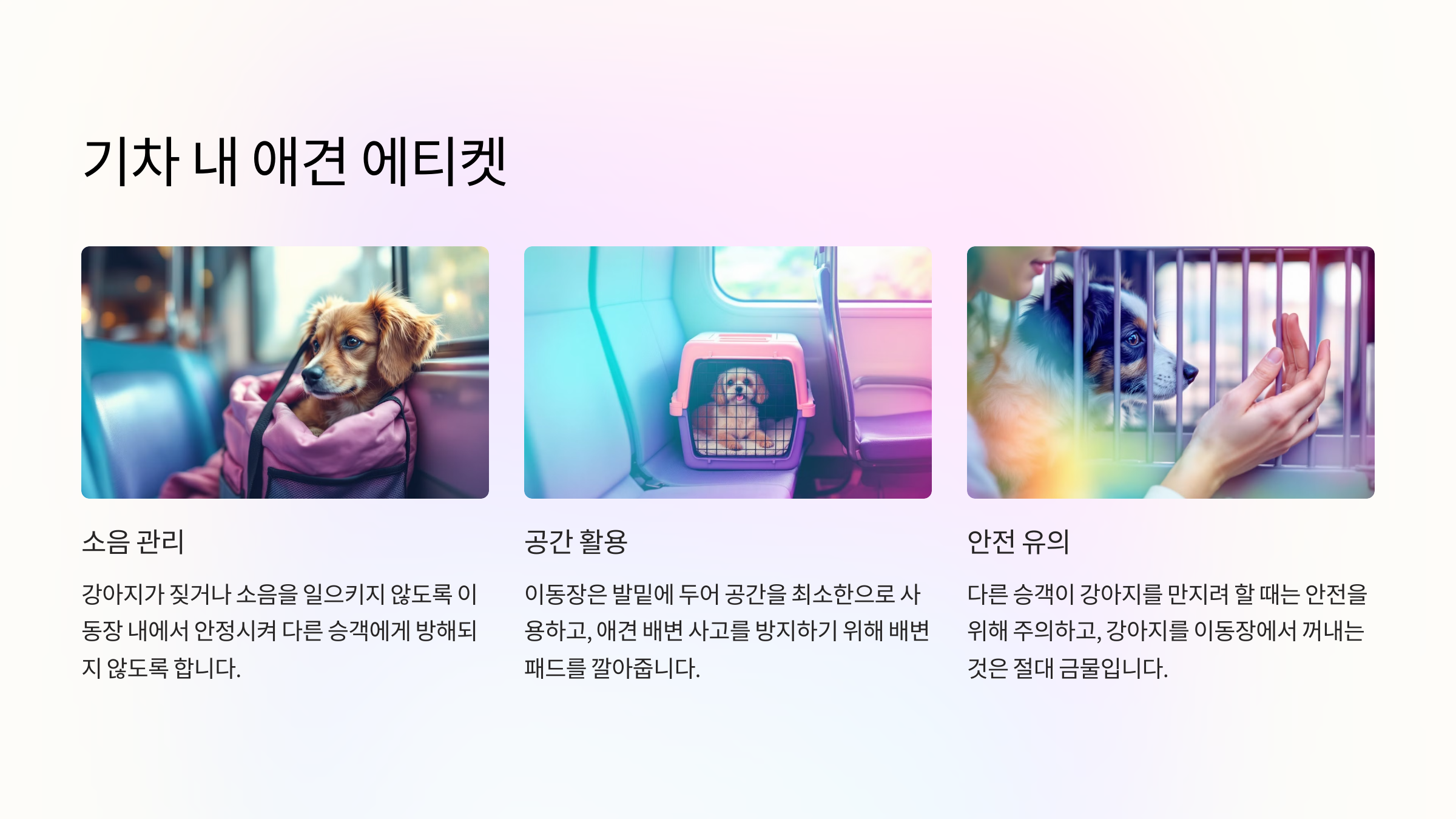 기차 내 애견 에티켓