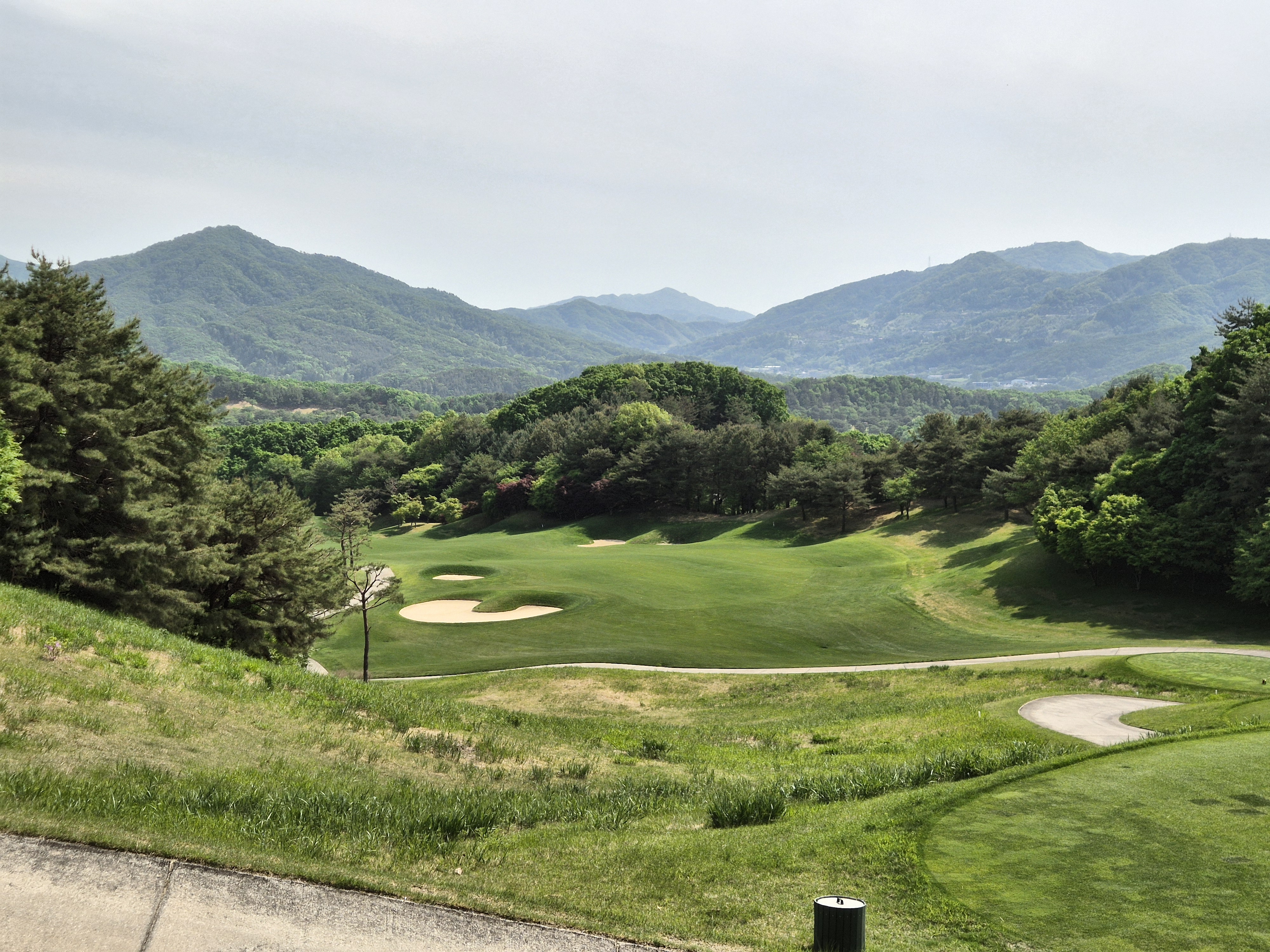 베어크리크cc 크리크코스