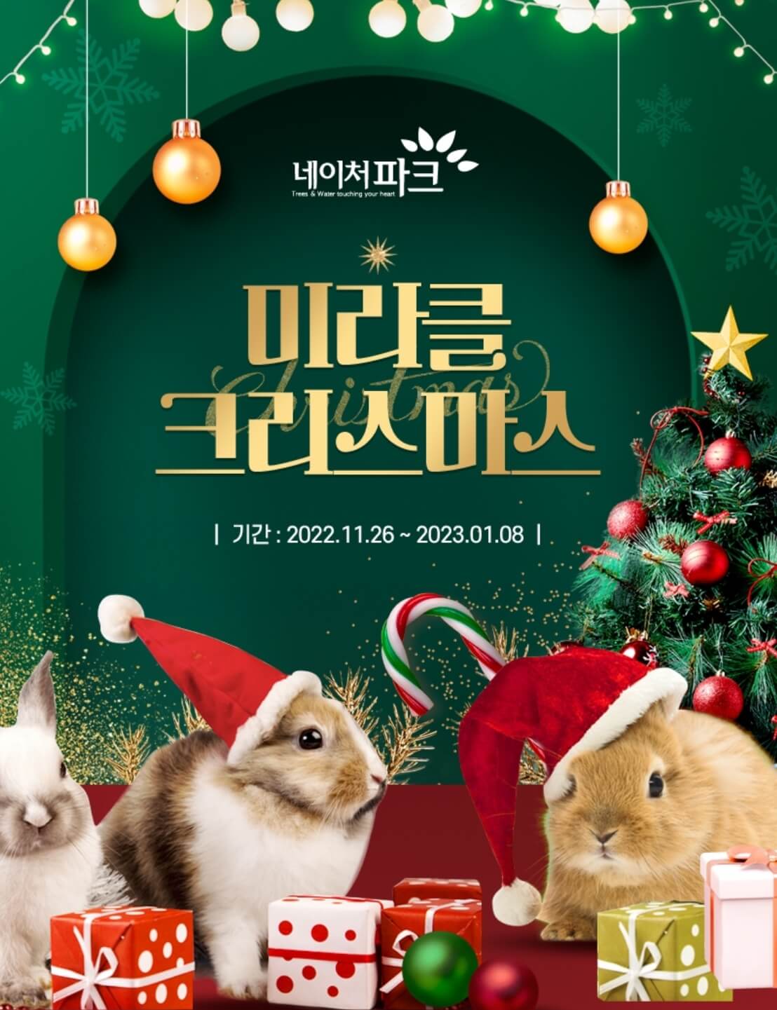 네이처파크 미라클 크리스마스 기본정보와 주차장,입장료를 알아봤습니다