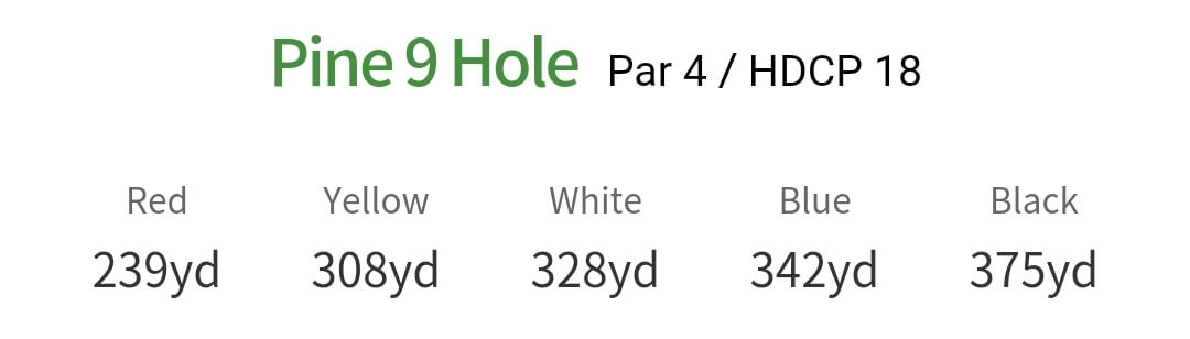 솔모로 컨트리클럽 파인코스 9