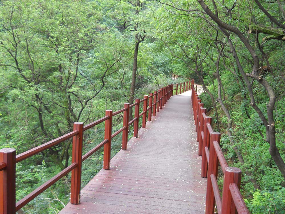 서대문구 안산자락길 우중산책