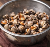 꼬막 해감 쉽게 하는 법