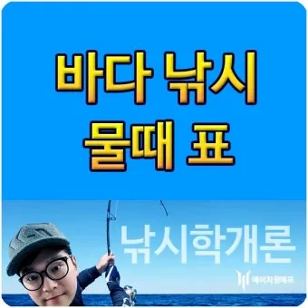 낚시 물때표 보는 법 바다 물결 밀물 썰물 이해하기_13