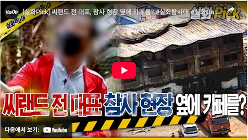 씨랜드 야자수 카페