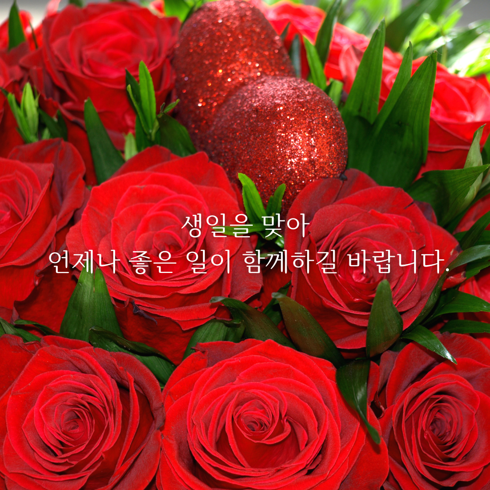 생일 축하 메세지 이미지 생일 축하 꽃다발 이미지 문구 모음