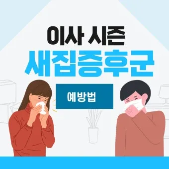새집증후군 원인 제거 방법 포름알데히드 완전 가이드_18