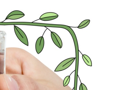 췌장암 초기증상