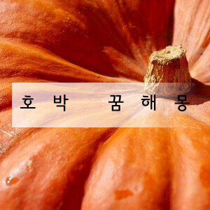 호박 꿈해몽