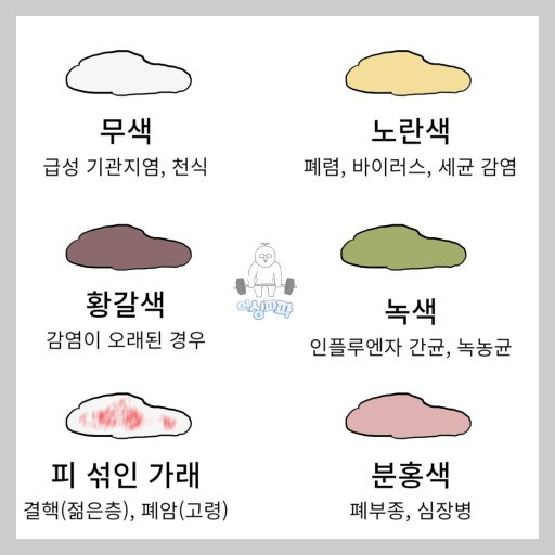 호흡기 질환: 가래- 생기는 원인, 색깔별 증상과 질병, 대처법과 가래 없애는 법.