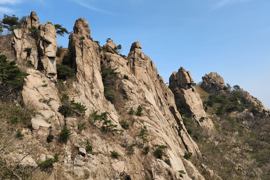 미국 서부 여행 일정표