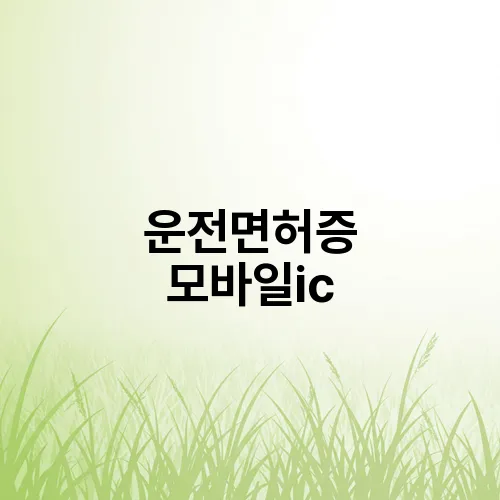운전면허증 모바일ic