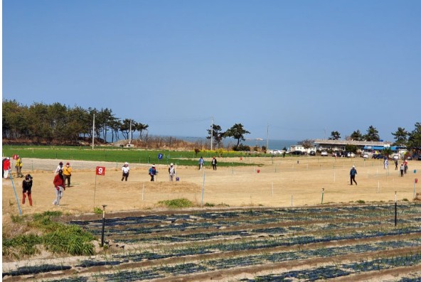 임자도 대광파크골프장