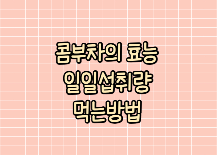 콤부차의 효능 일일섭취량 먹는방법 글자 이미지