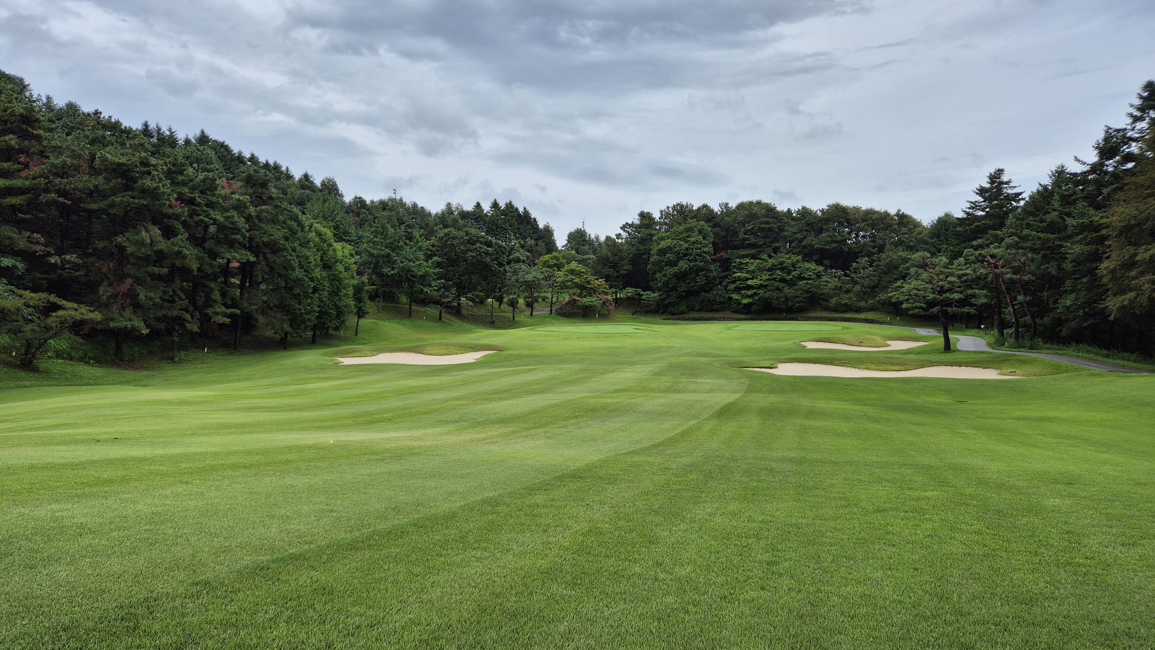 뉴서울cc 예술in-문화in 코스 사진 및 공략 정보