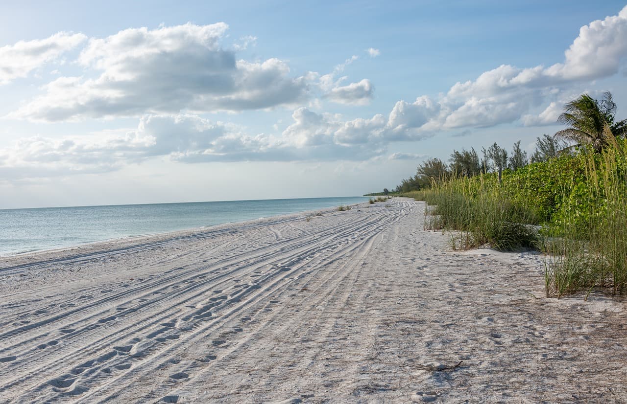 무인도 생존 트레킹 가이드