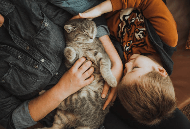 펫 아로마 테라피 모든것! 반려동물과 함께라면 꼭 참고하세요