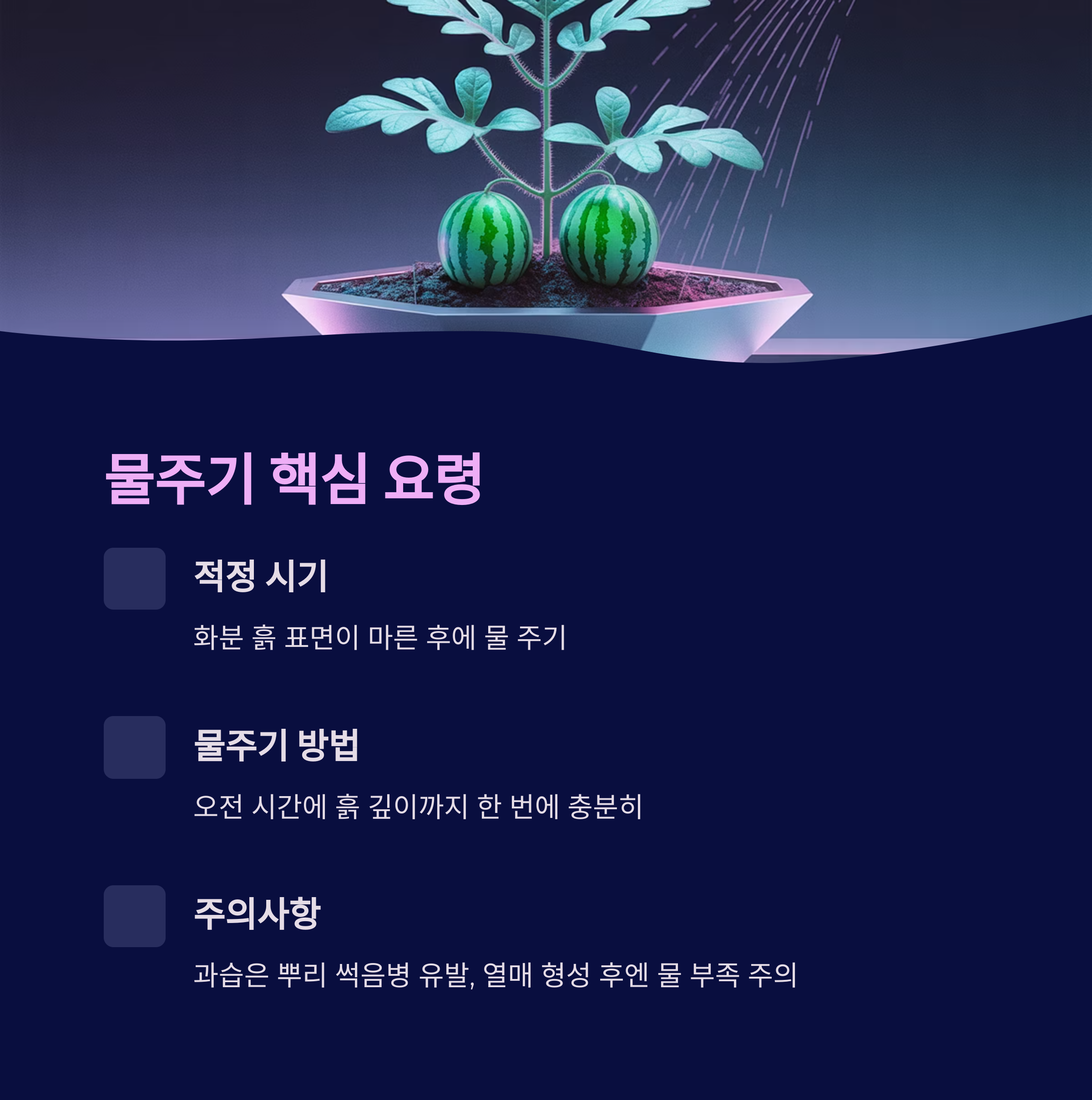 물주기 요령 &ndash; 겉마름 확인 후 흙 깊이까지 흠뻑
