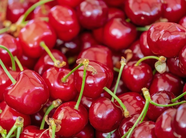 타트체리 파는곳