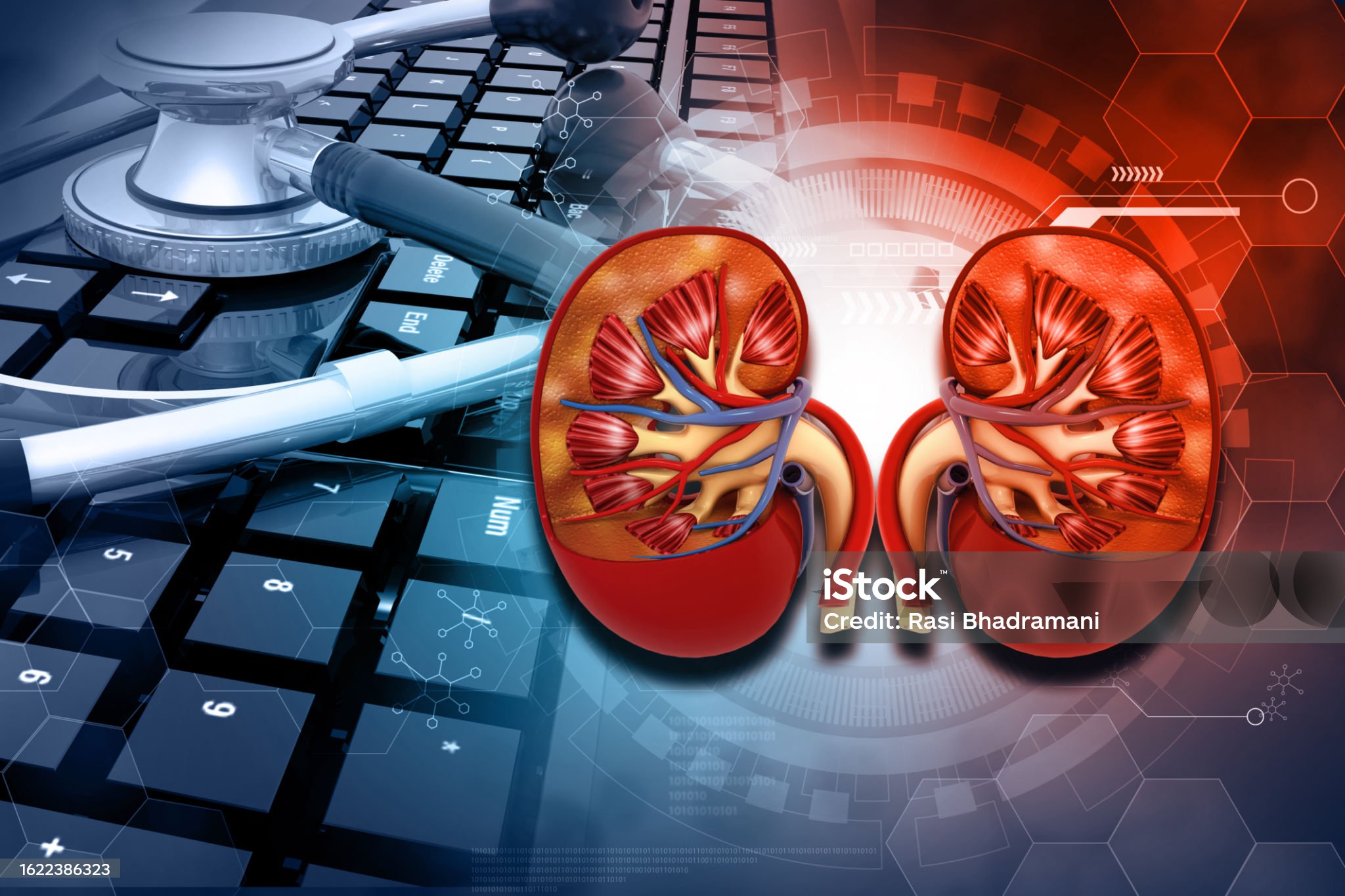 신부전증 포스터