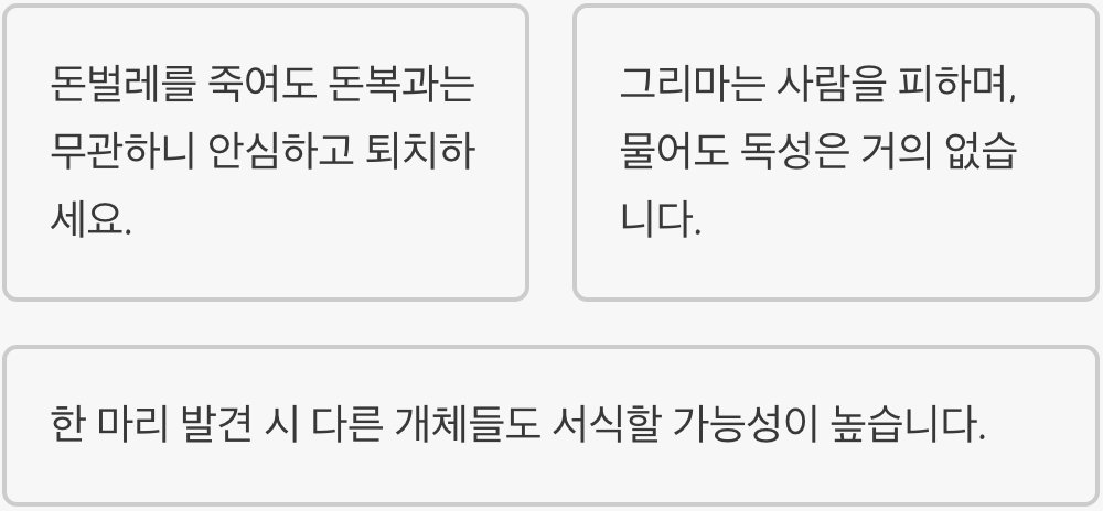 돈벌레 퇴치 방법 완벽 가이드 – 약품, 트랩, 천연 퇴치제 비교