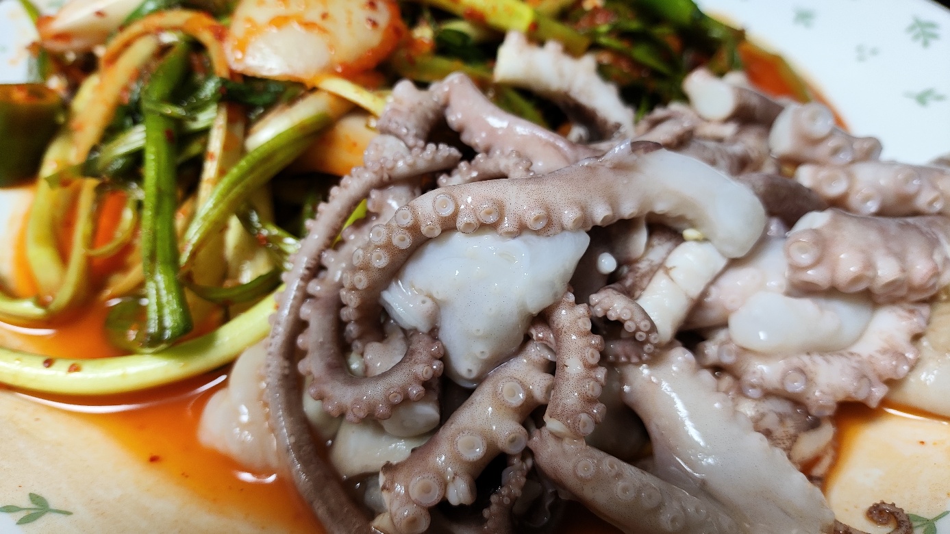 낙지 초무침