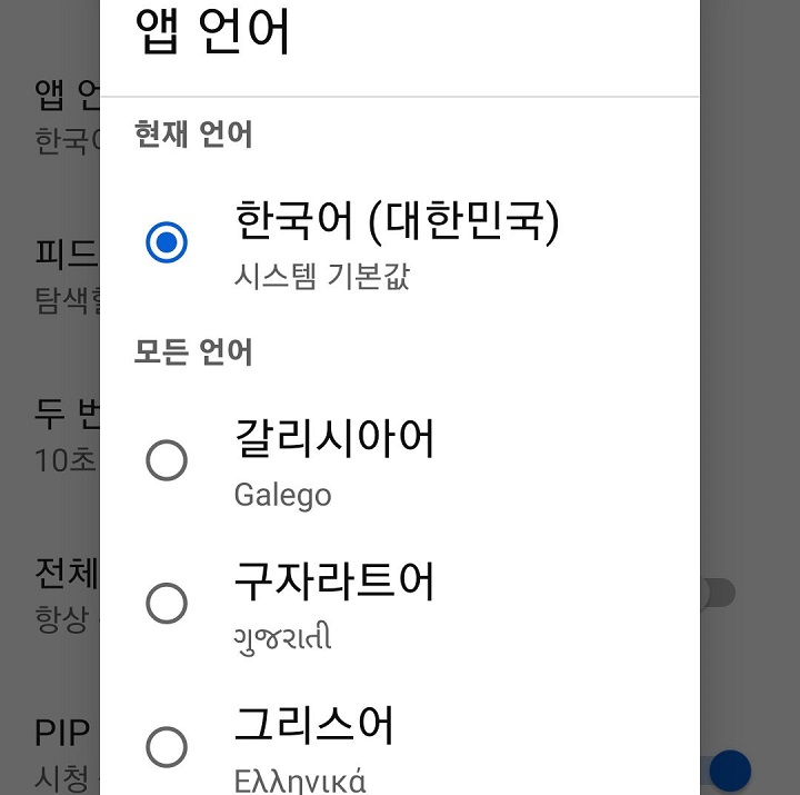 앱 언어 선택창 보임