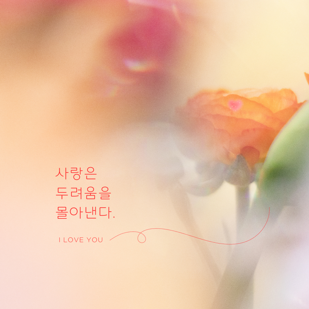 짧고 좋은 사랑 글귀 좋은글 문구 이미지 모음