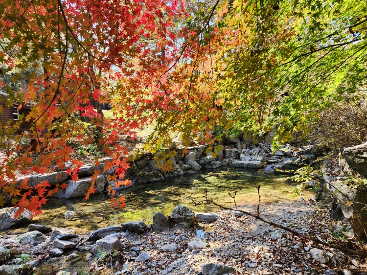 유명산 자연휴양림