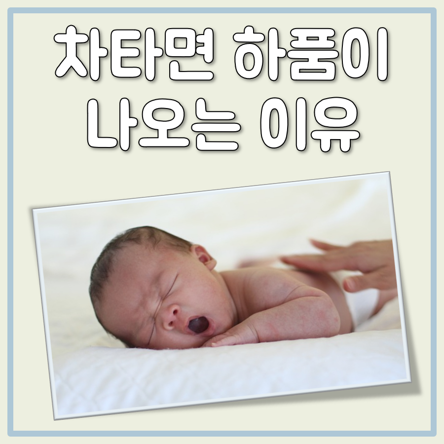 차타면 하품이 자주 나오는 이유