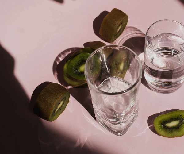 물의-수분-공급-정화-작용과-보편성