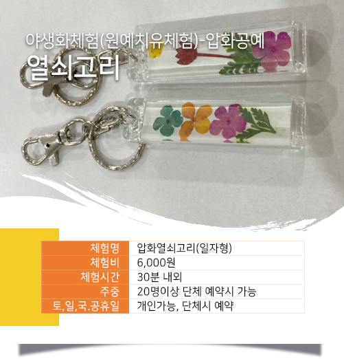 압화열쇠고리 (일자형)