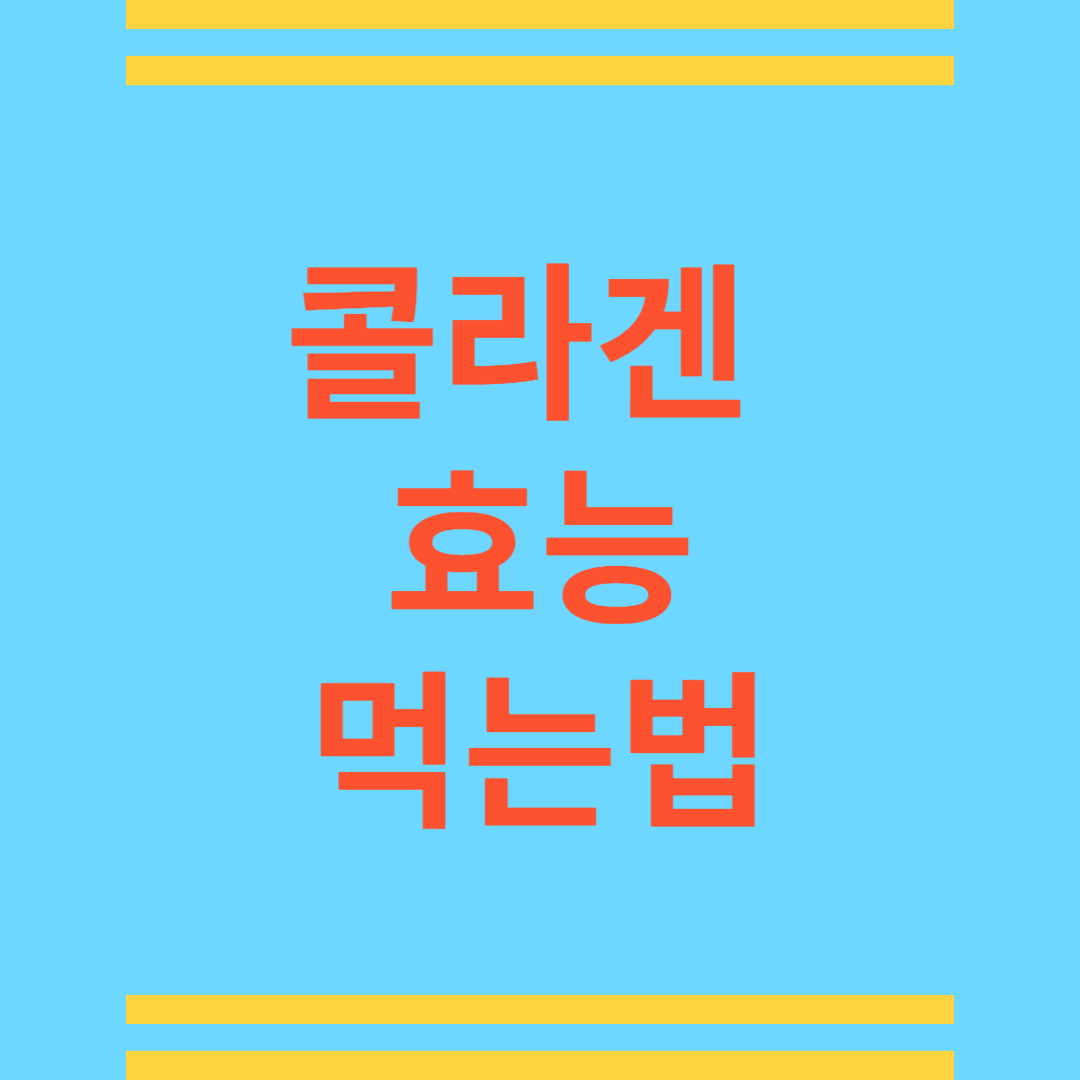 콜라겐 효능 먹는법