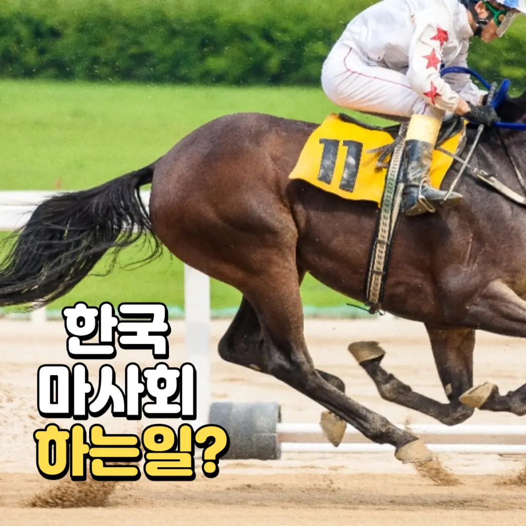 한국마사회하는일