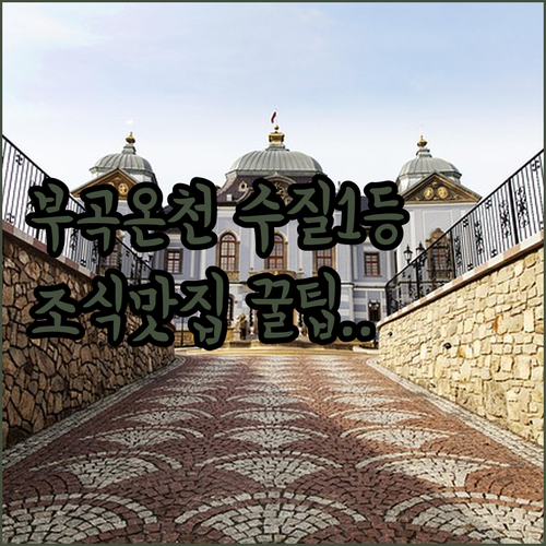 부곡 온천 단지 수질 좋은 숙소 비교..