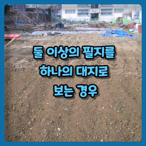 둘 이상의 필지를 하나의 대지로 보는 경우