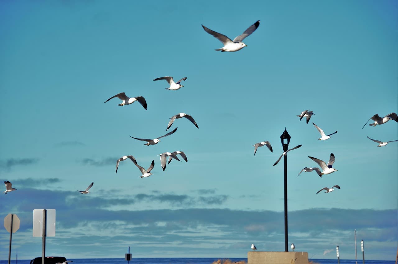 기초과학 중심 다차원 우주론에서 예측하는 중력의 약화 원인