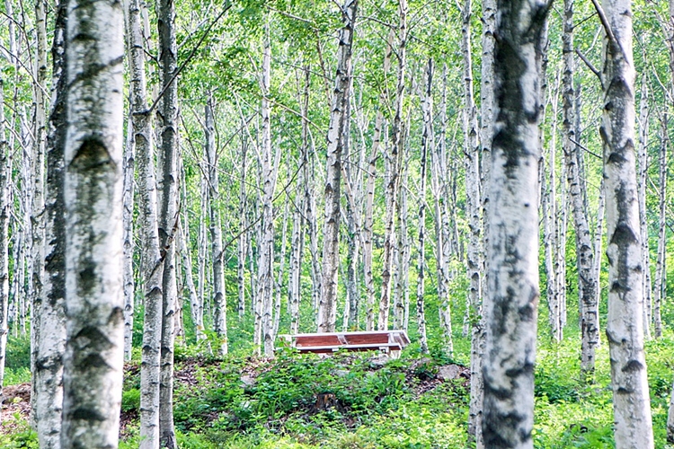 양평 가볼만한곳