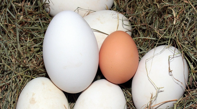 나사식 이음의 장단점