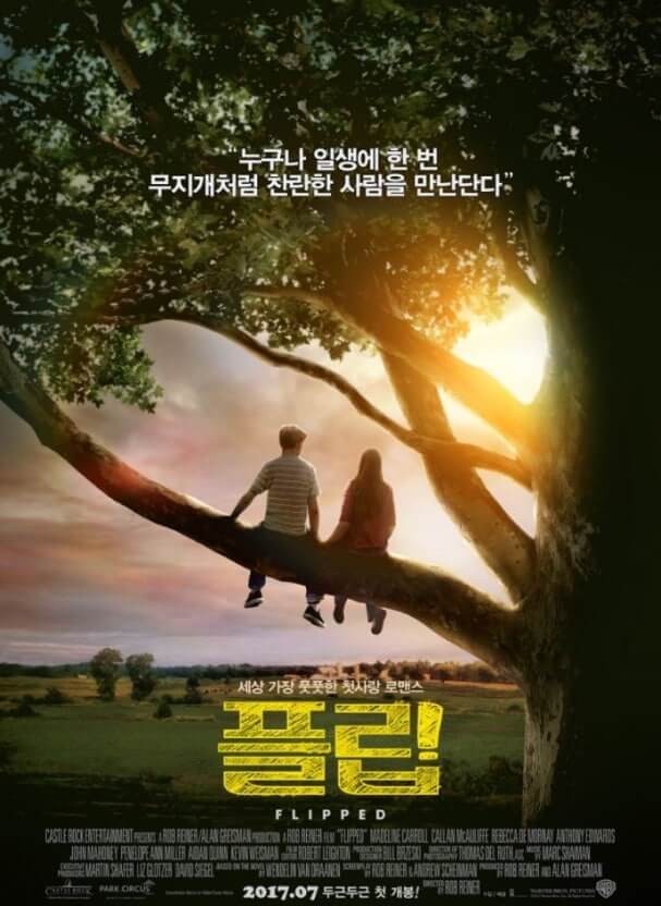 플립 영화 소개 줄거리, 감상 포인트, 메세지, 핵심정리