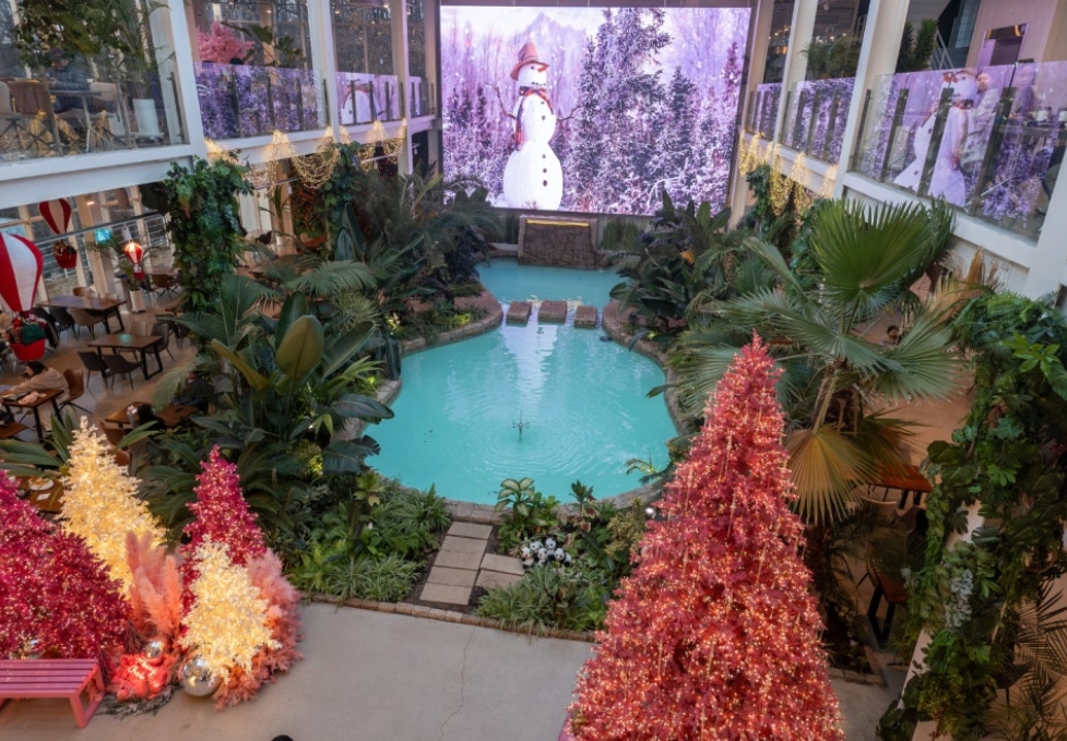 연말/겨울/나들이/경기도/핫플/베이커리/카페