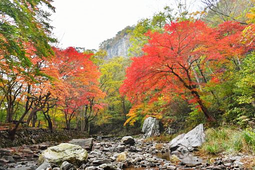 강천산 군립공원의 맨발걷기