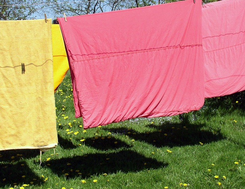 이불 진드기 줄이는 방법