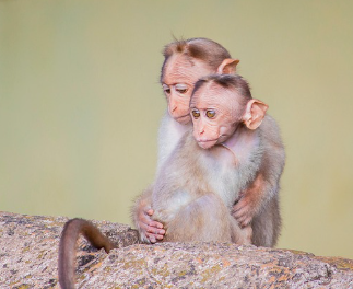디즈니플러스 &amp;#39;카지노 시즌1&amp;#39; 추천 후기: 범죄 느와르의 진수!