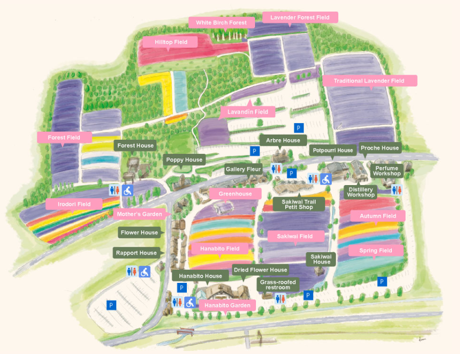 팜토미타 꽃 지도